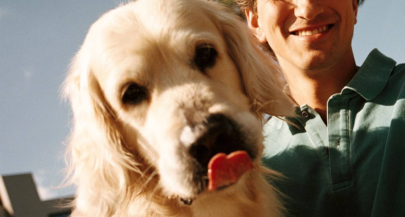 Närbild på hund som slickar sig runt munnen.